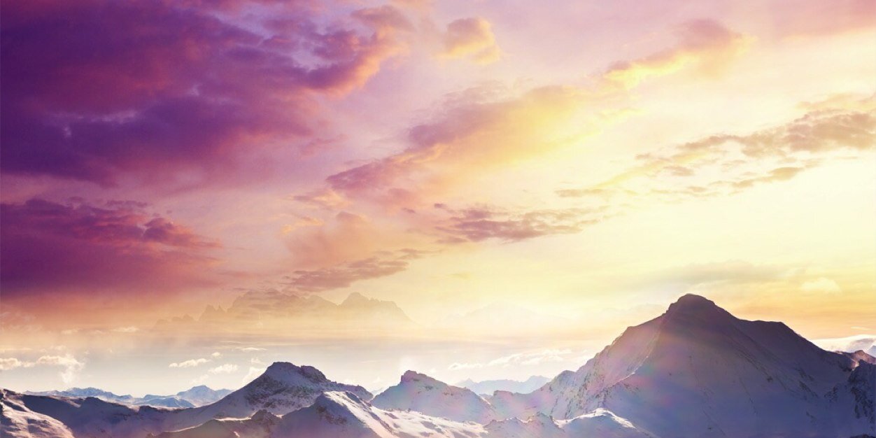 fennevanwessel's profile banner image