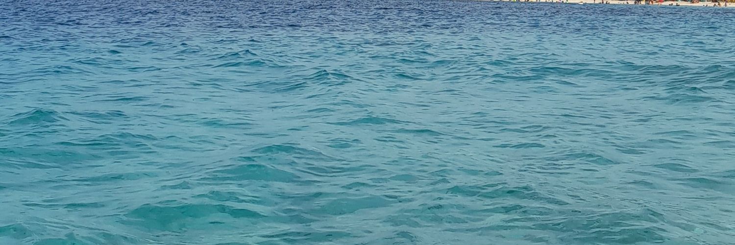 MariajoseMMujic's profile banner image
