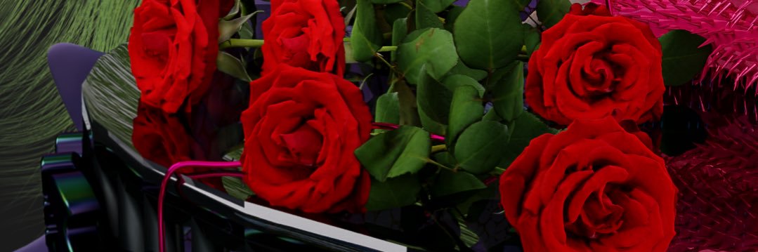 ranina_run's profile banner image