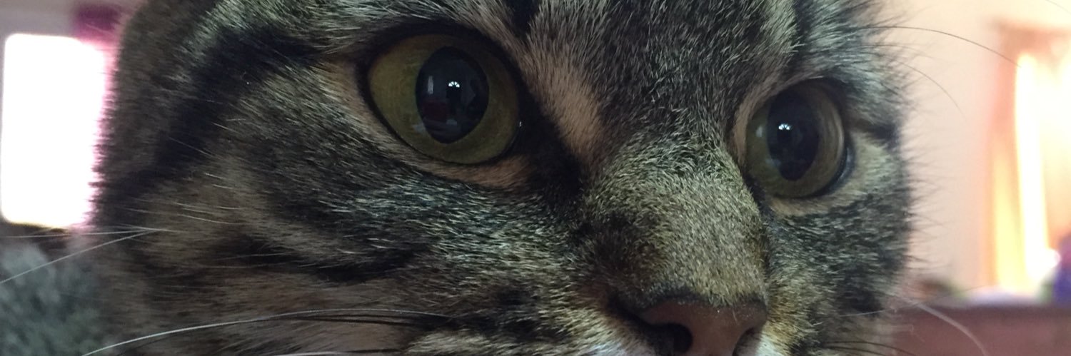 fflorperalta's profile banner image