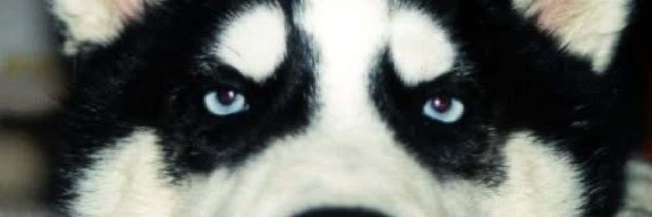 yreid68's profile banner image
