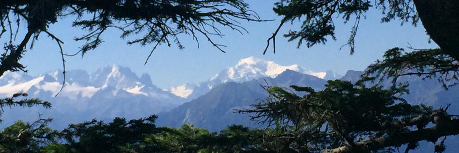 coudert gaelle banner