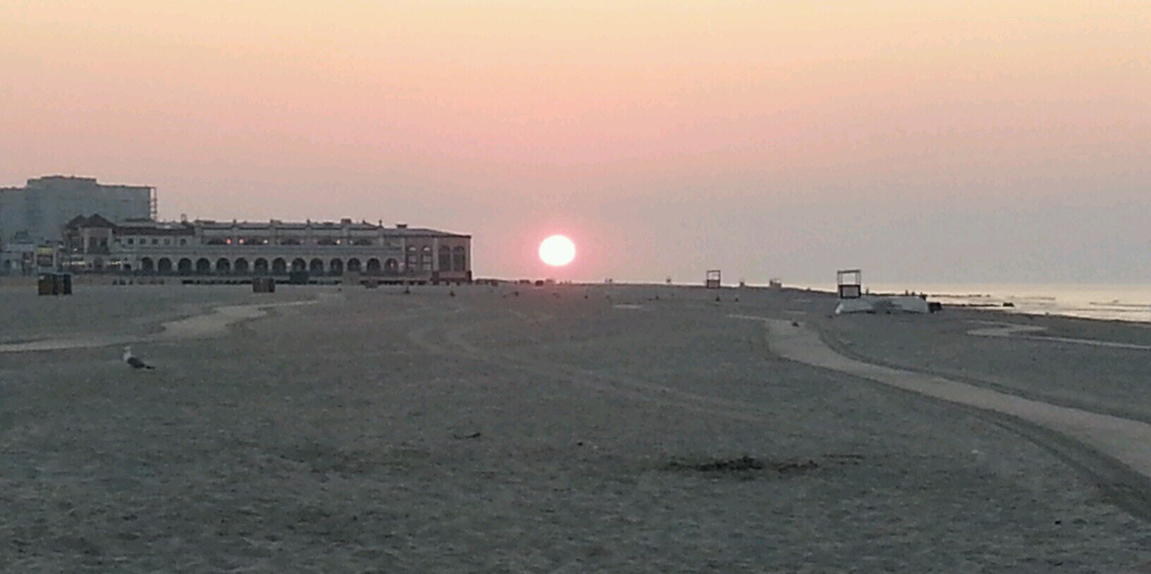 Arlene H. Kime👑 banner