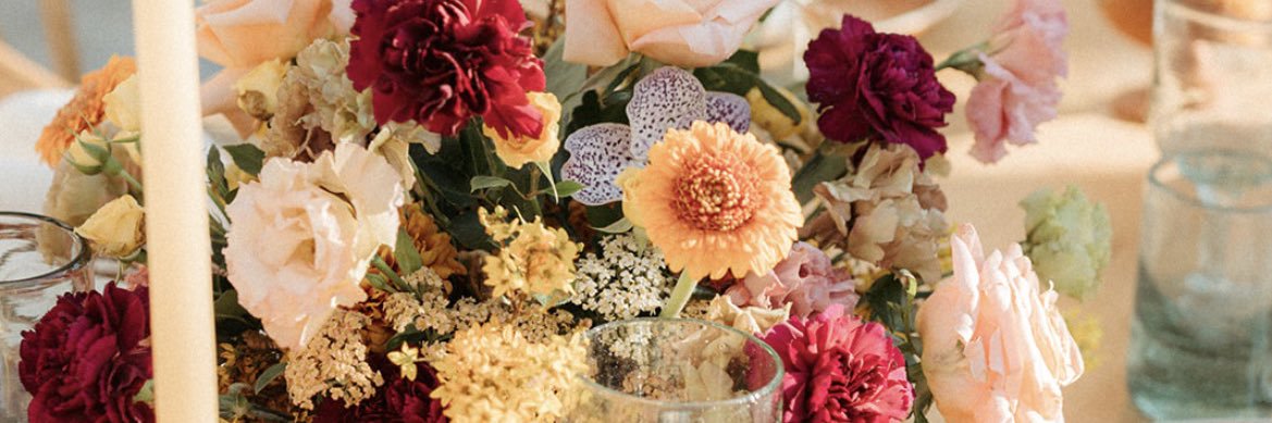 julia__concetta's profile banner image