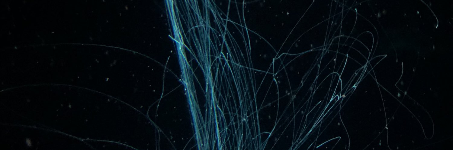 BrianWidin's profile banner image