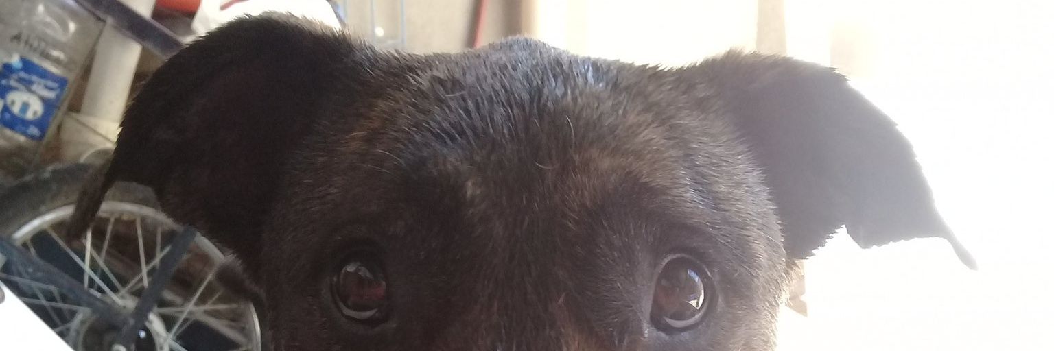 PonceeMariaa's profile banner image