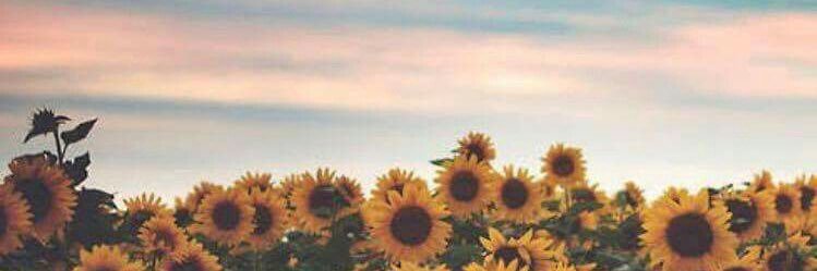 nicsjohnson_'s profile banner image