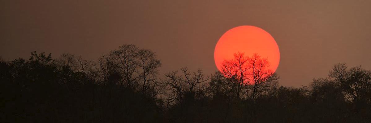 TCWildlifePhoto's profile banner image