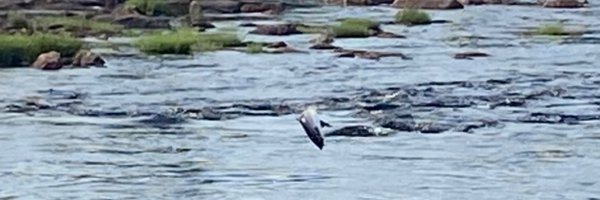 ChristophFrench Profile Banner