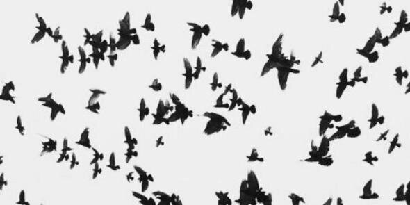 hennessyyyyy's profile banner image