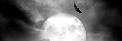 Ryou_1994's profile banner image