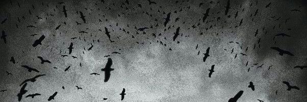 QueenOfMayhems's profile banner image