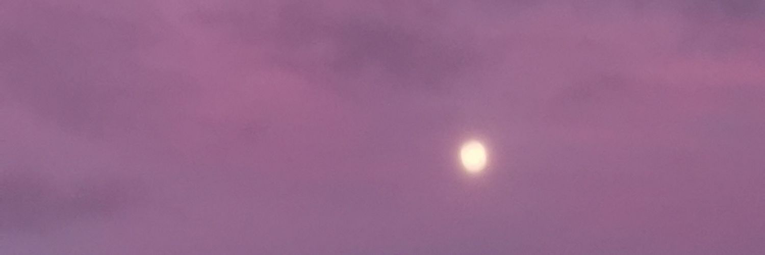 Muslim_Pearl's profile banner image