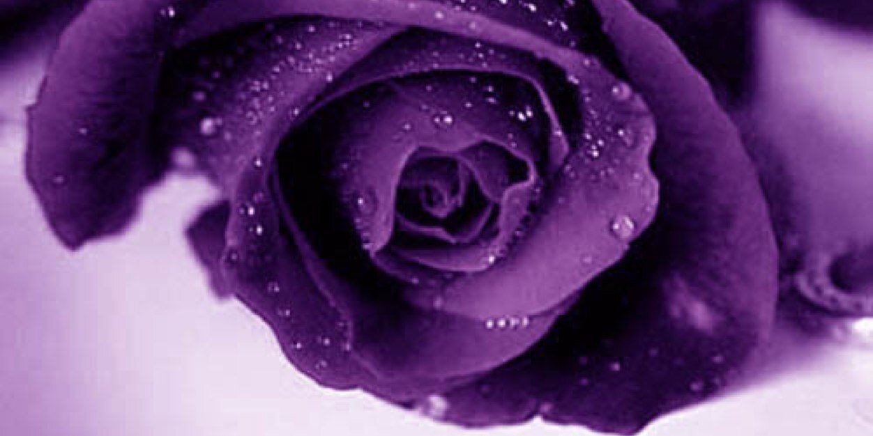 FrantasticConTC's profile banner image