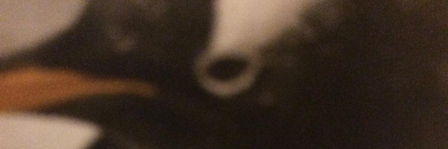 DarkSimulant's profile banner image