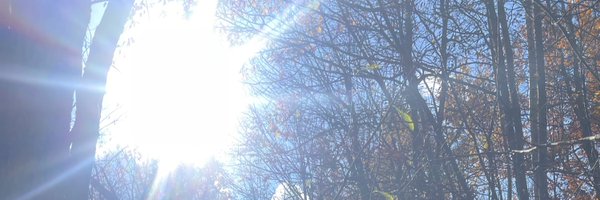 maribeIIa_ Profile Banner