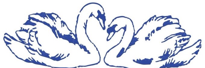 venusdimpl3s's profile banner image