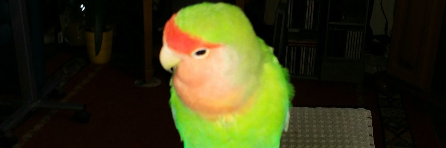 Busbriefbode's profile banner image