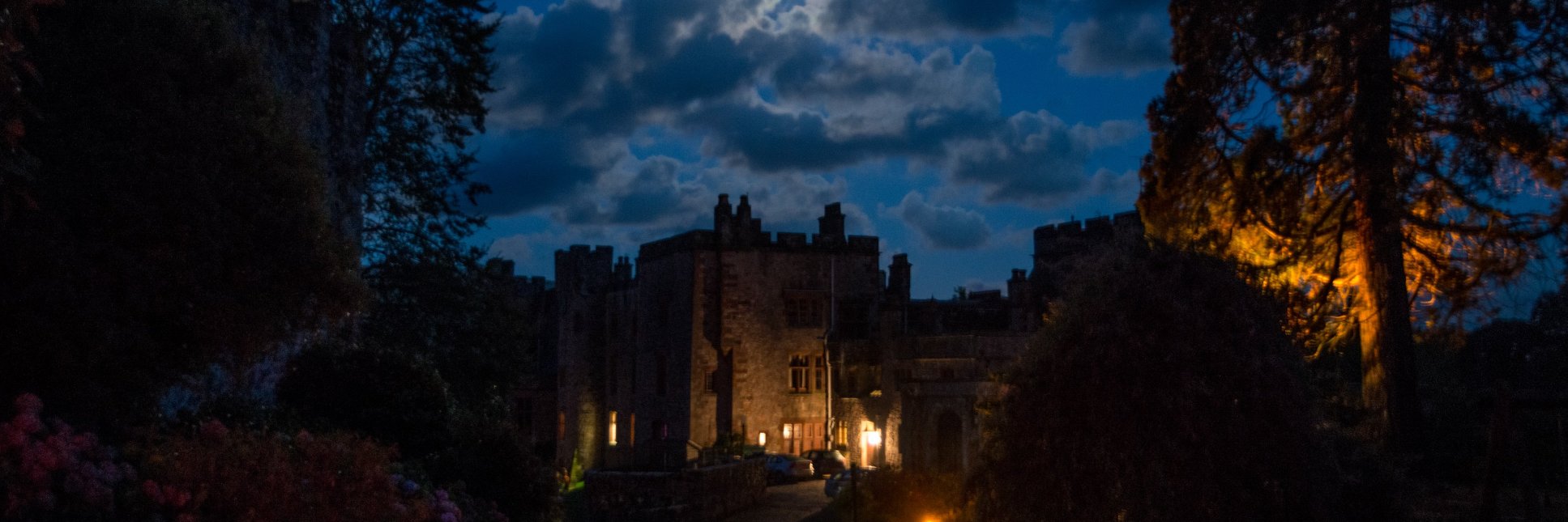 Rebecca Walker banner