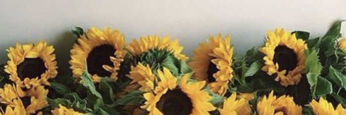 Bernie_Smith's profile banner image