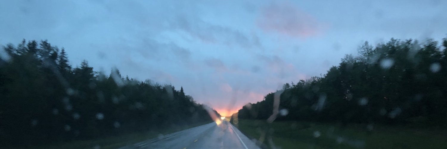 brooklynmerk's profile banner image