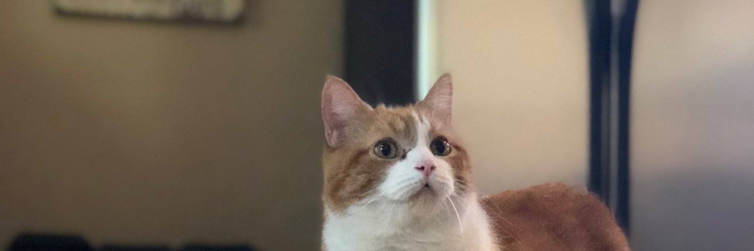 lilpinkytoe_'s profile banner image