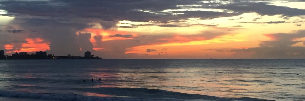 mskdpt's profile banner image
