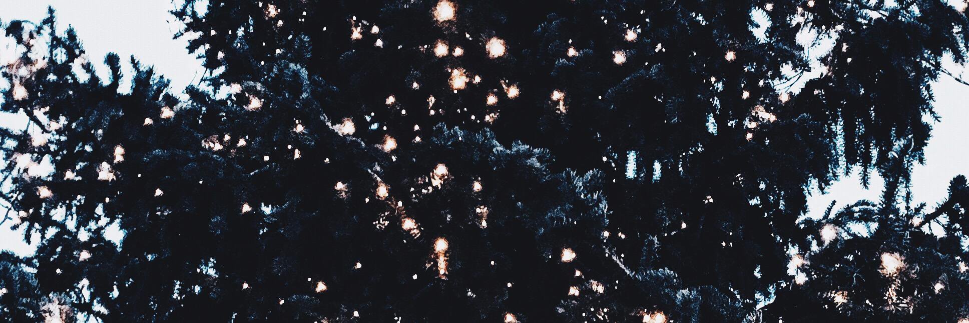 hhsinyuc's profile banner image