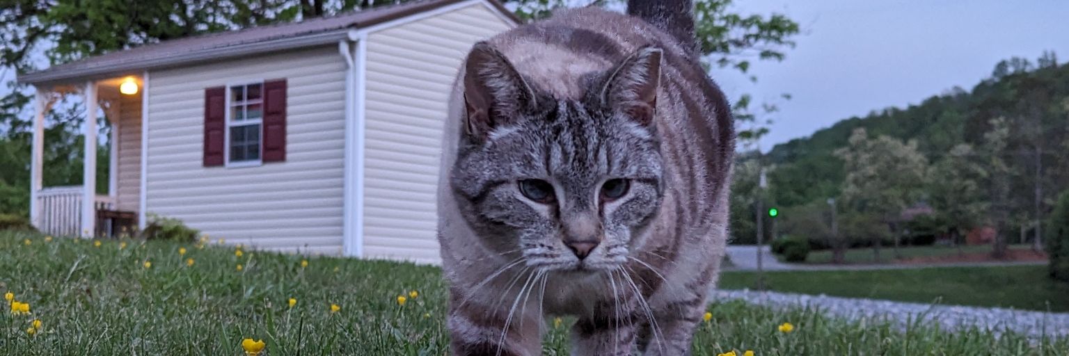 CaylaMackenzie_'s profile banner image