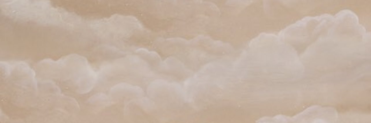 phoebe banner