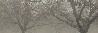 lizzyf101's profile banner image