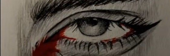 FallenSoulRen's profile banner image