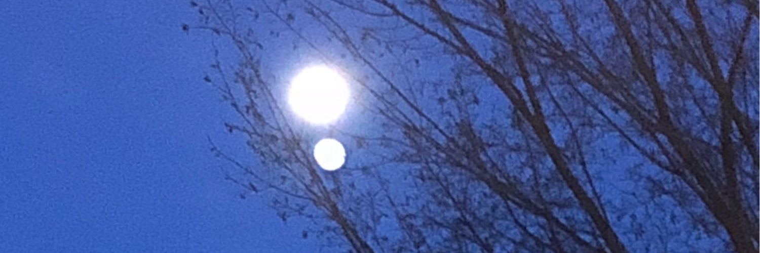 mrbbrd343's profile banner image