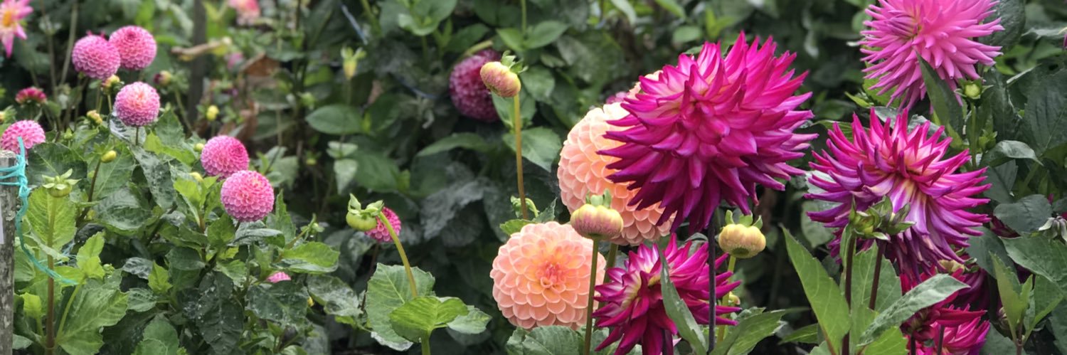 audreyglynn's profile banner image