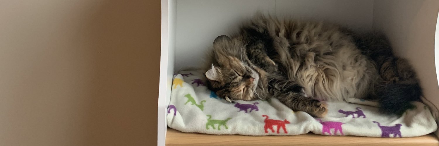 number1catmama's profile banner image