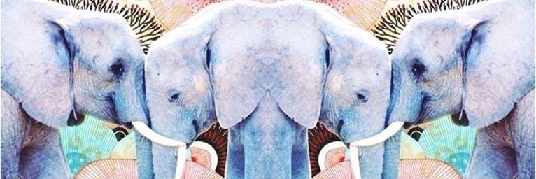 RINNR's profile banner image