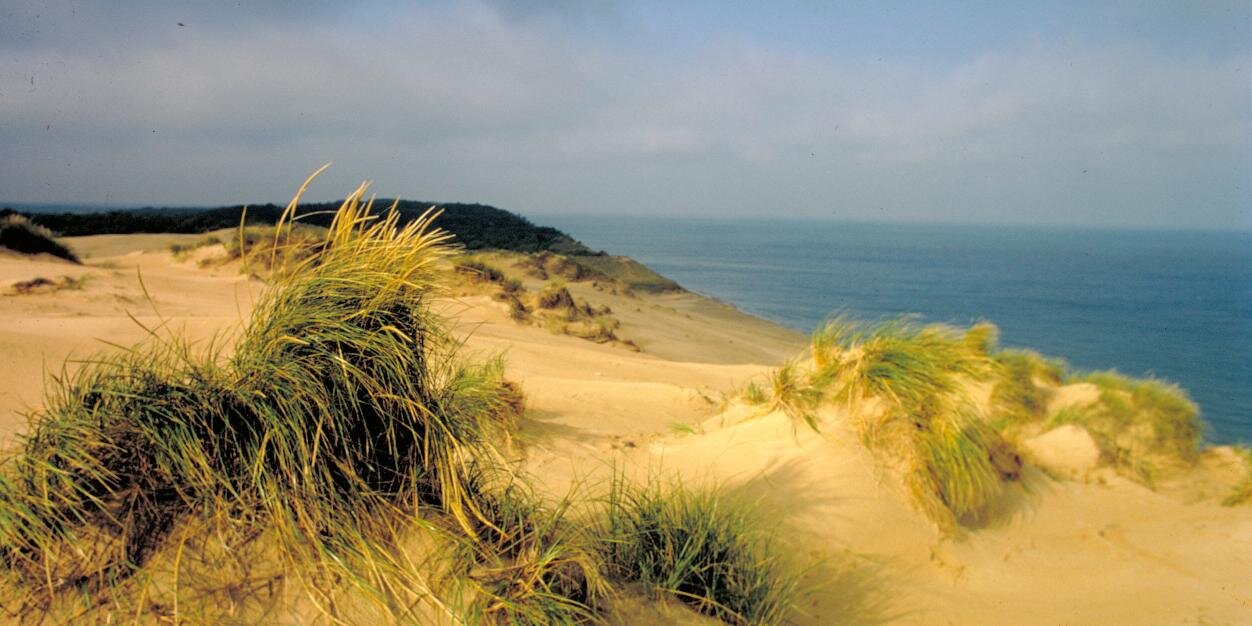 Miller_Beach's profile banner image