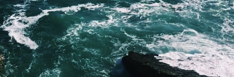 Taylor_wilson18's profile banner image