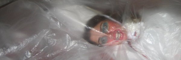 dev_lemons Profile Banner