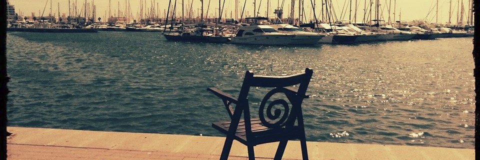 Zeïneb Toumi banner