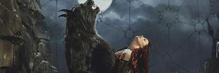 unaiarroyo7's profile banner image