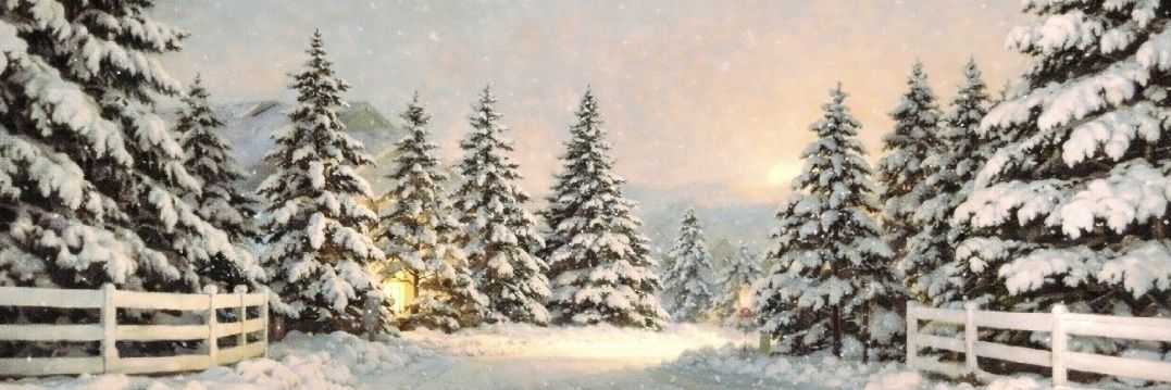 SHERI__MN⛄️❄️ banner