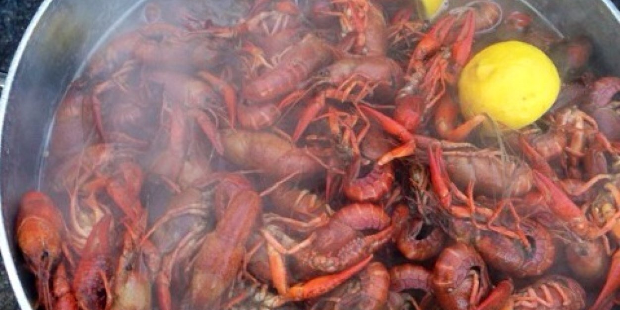 OfficialBooRays's profile banner image