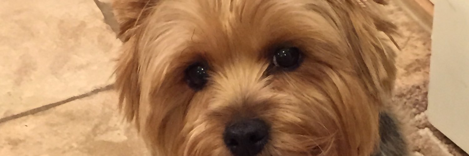 GhostMags47's profile banner image