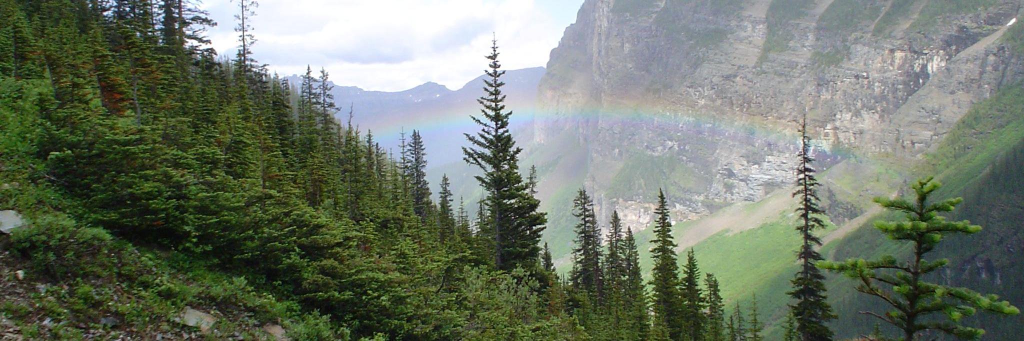 gregrgay's profile banner image