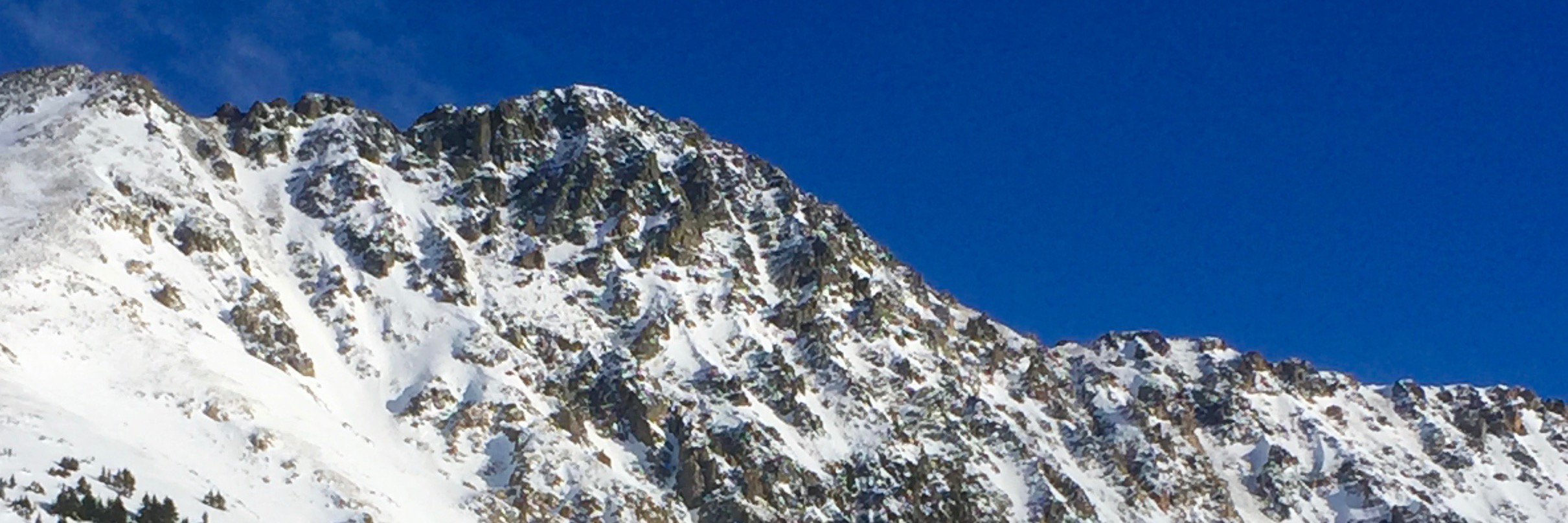 Robert Timmons banner