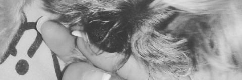 rosa_suarez_'s profile banner image