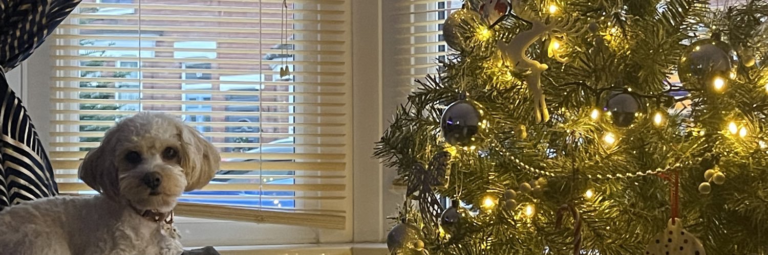 MissyElly's profile banner image