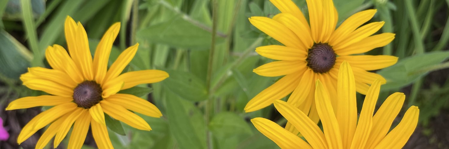 KellyYetman's profile banner image