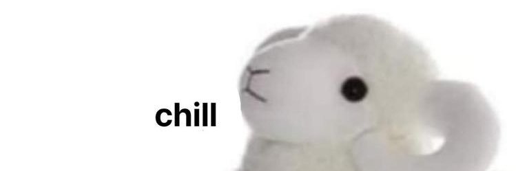 domenicavelezs's profile banner image